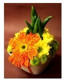 JIVEYA COM -  -  